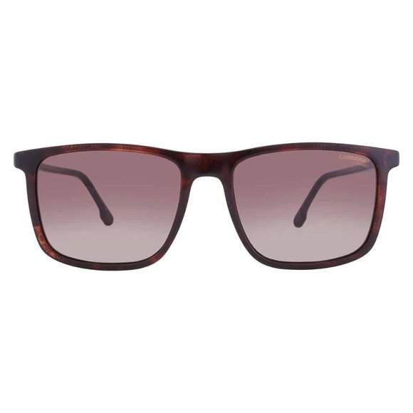 NEW CARRERA UNISEX SUNGLASSES HAVANA BROWN CARRERA 231/S 0086 HA